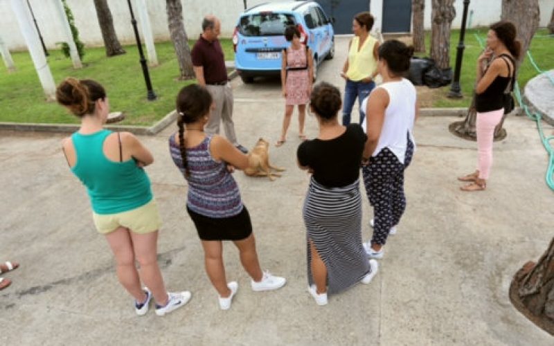 01/08/2017 Acogida temporal de animales